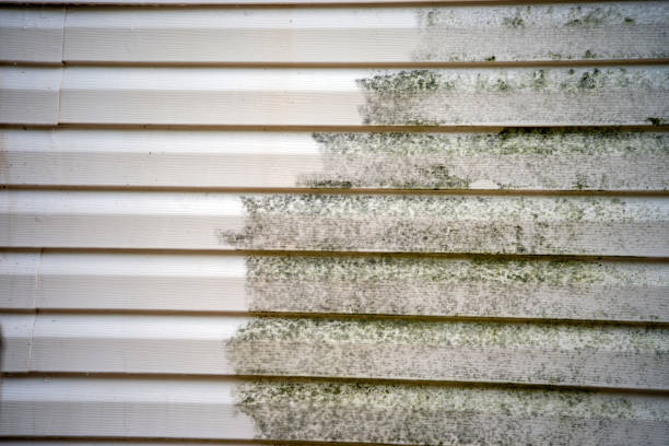 Best Brick Veneer Siding  in Mays Landing, NJ