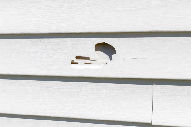 Best Residential Vinyl Siding Installation  in Mays Landing, NJ