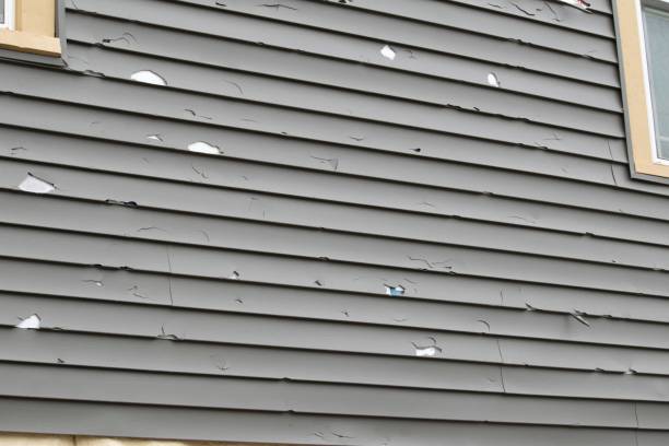 Best Composite Siding  in Mays Landing, NJ