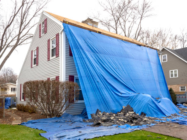 Best Storm Damage Siding Repair  in Mays Landing, NJ