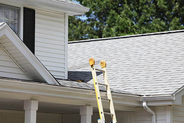 Best Siding for Commercial Buildings  in Mays Landing, NJ